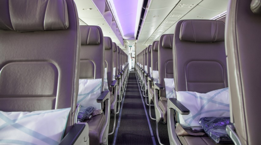 Saudia 787 Economy Class