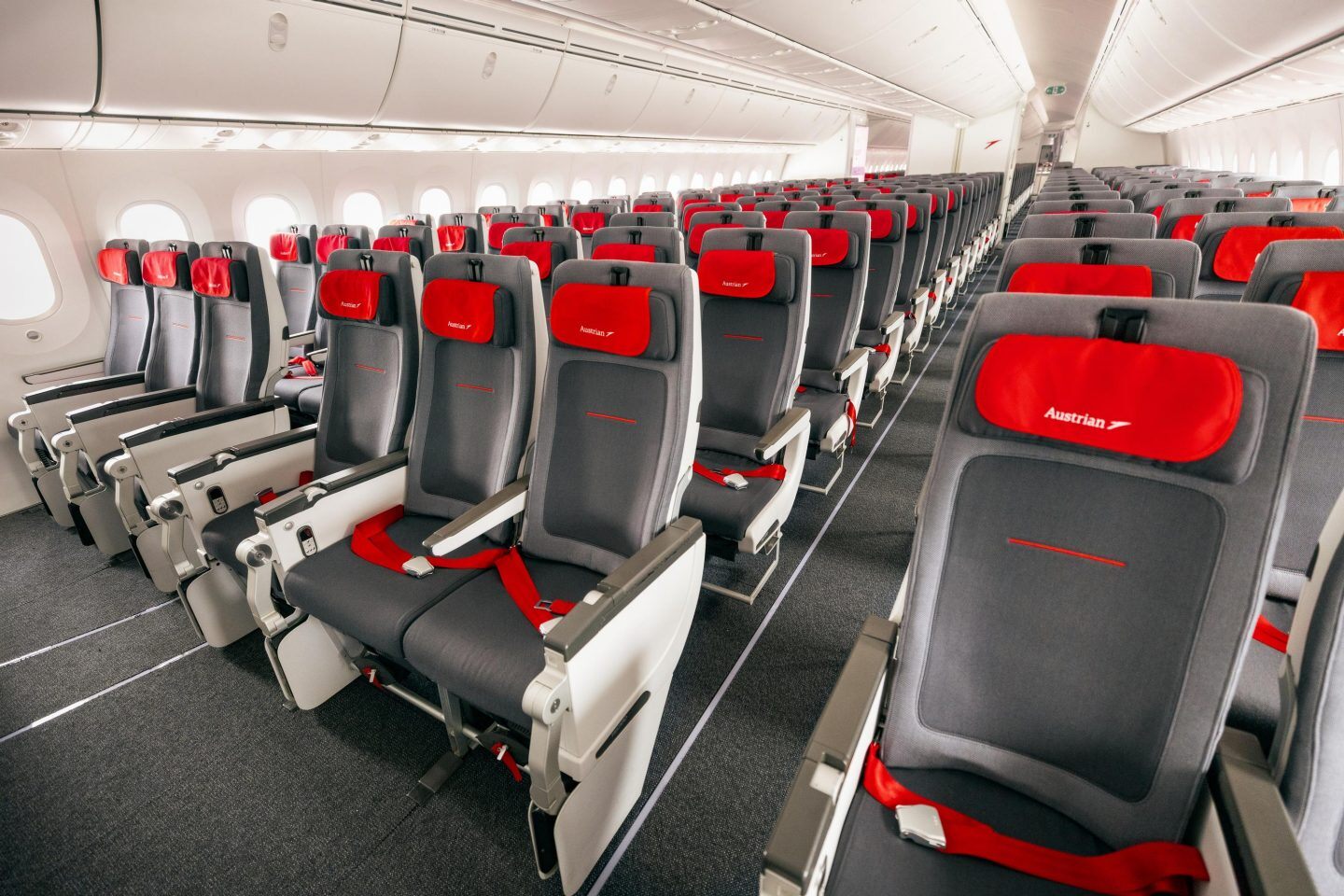 Austrian 787 Economy